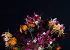 1 Flower arrangement.jpg